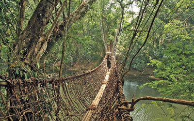 Westafrika, Guinea, Mali - Guinea - Guinea-Bissau: Westafrika pur - Hngebrcke